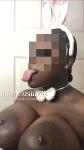15185962