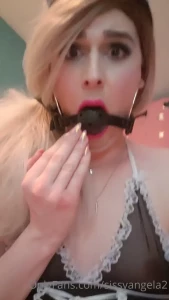 15717077