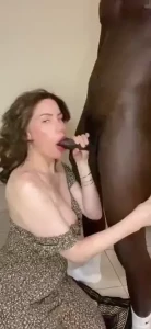 18529669