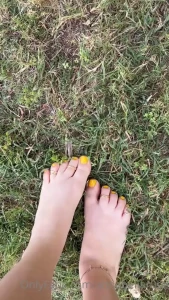 7764821