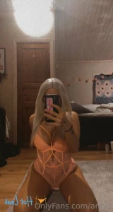 15387631