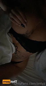 15387636