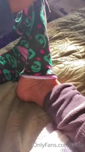 7764237