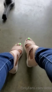 7764254