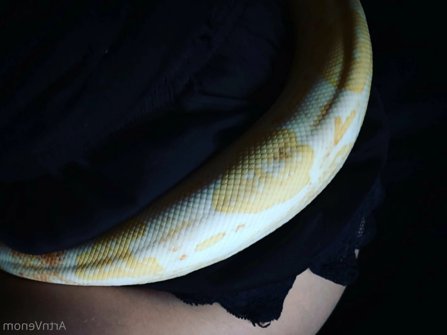 Art•Venom [ artnvenom ] Onlyfans leaked photo 6761005 on Hotleaks.tv