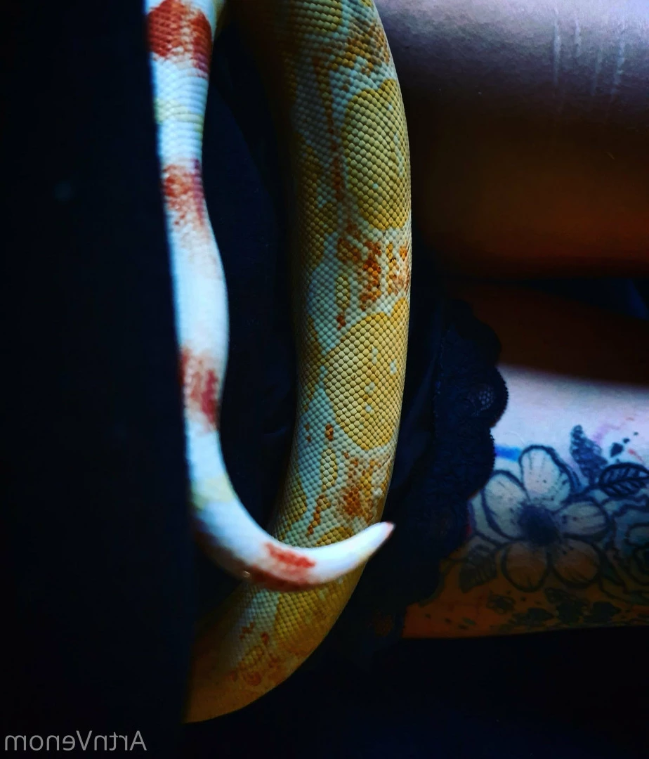 Art•Venom [ artnvenom ] Onlyfans leaked photo 6761270 on Hotleaks.tv