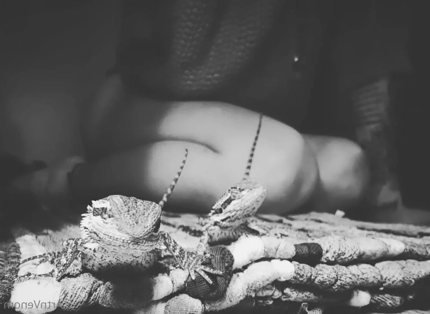 Art•Venom [ artnvenom ] Onlyfans leaked photo 6761323 on Hotleaks.tv