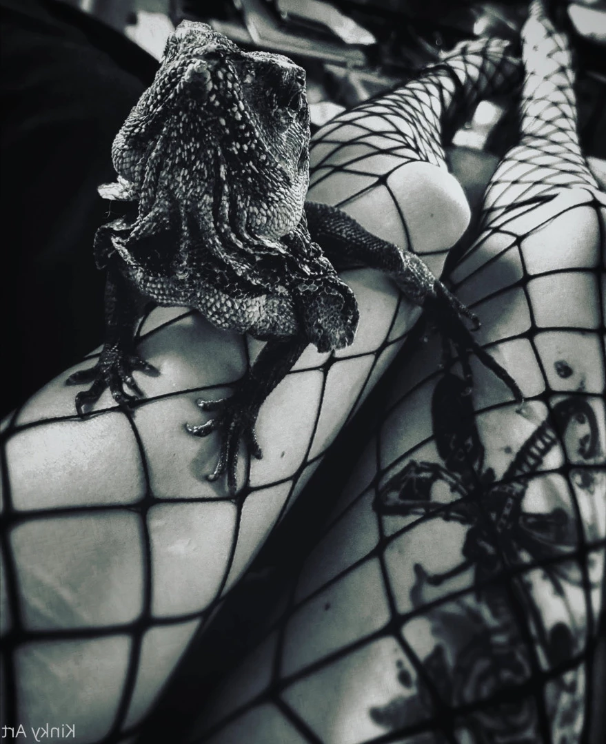 Art•Venom [ artnvenom ] Onlyfans leaked photo 6761620 on Hotleaks.tv