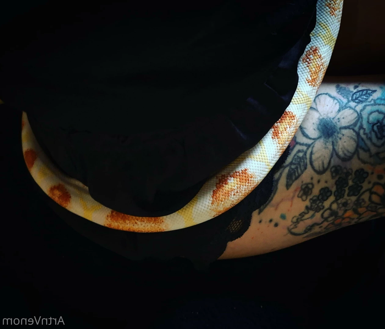 Art•Venom [ artnvenom ] Onlyfans leaked photo 6761791 on Hotleaks.tv