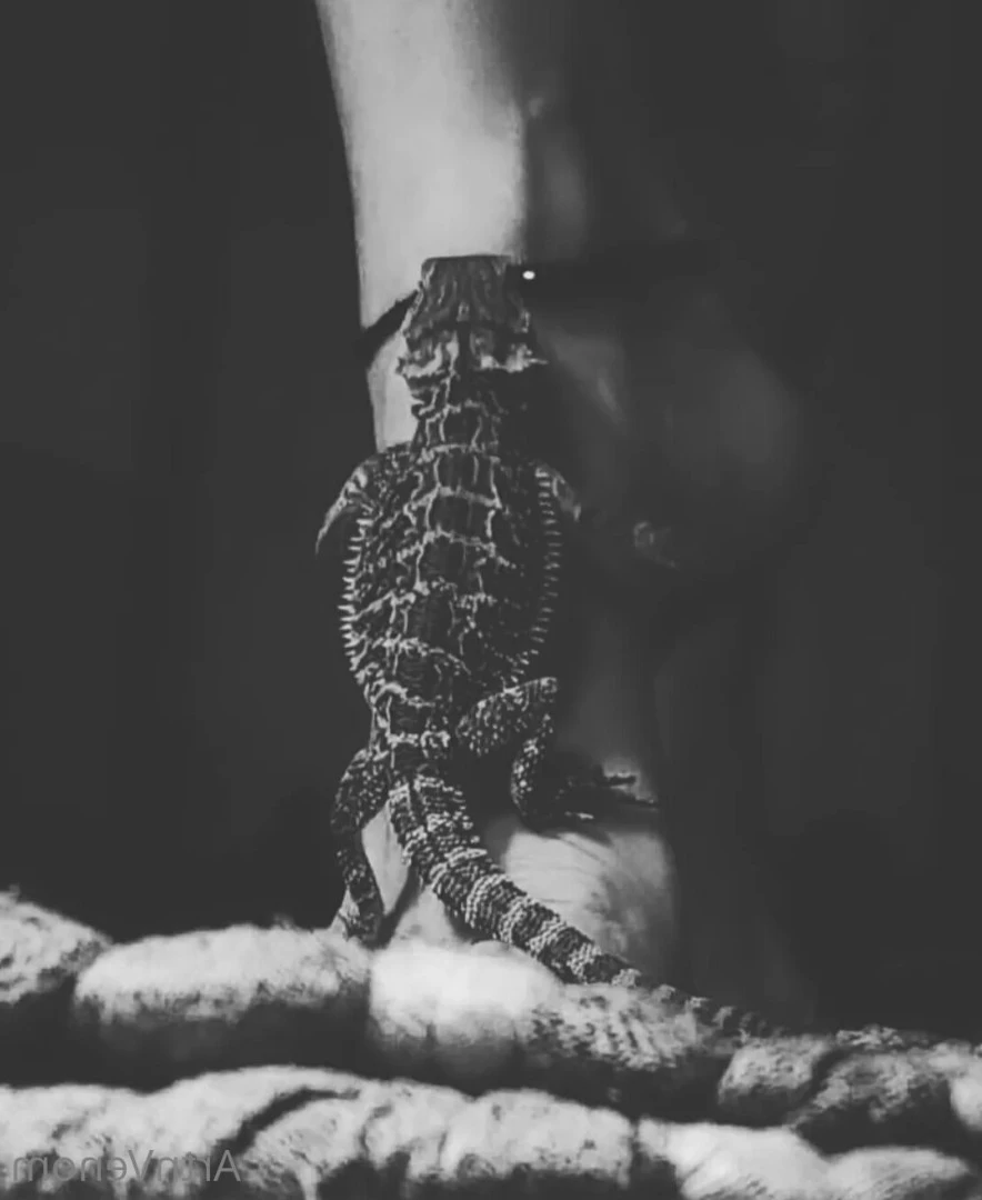 Art•Venom [ artnvenom ] Onlyfans leaked photo 6761925 on Hotleaks.tv