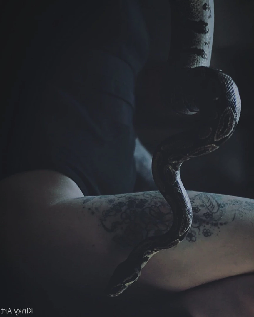 Art•Venom [ artnvenom ] Onlyfans leaked photo 6761979 on Hotleaks.tv
