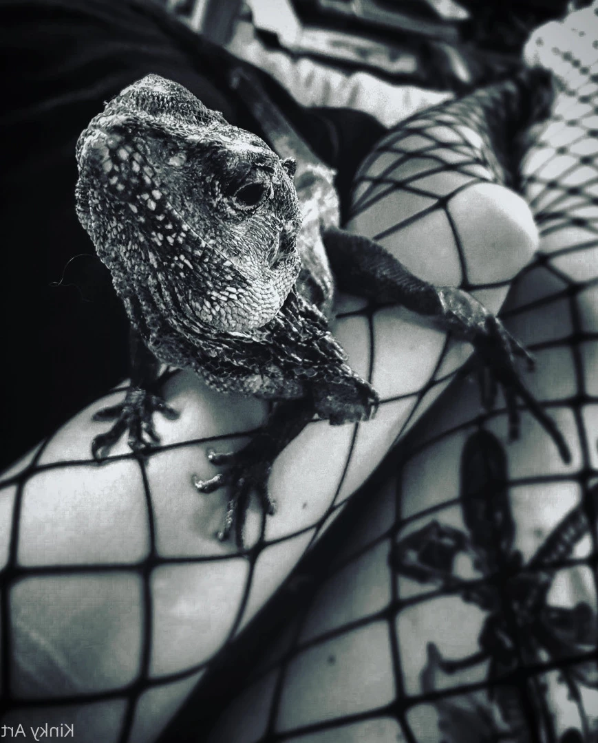 Art•Venom [ artnvenom ] Onlyfans leaked photo 6762064 on Hotleaks.tv