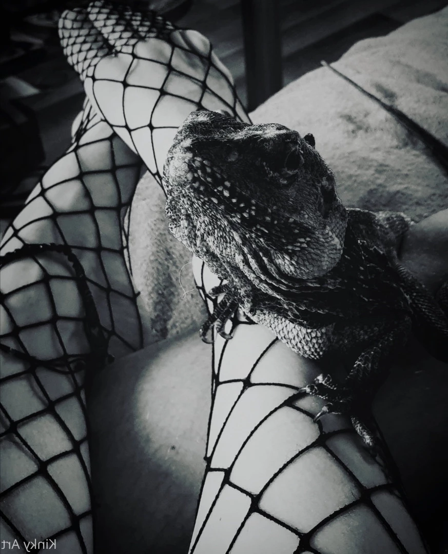 Art•Venom [ artnvenom ] Onlyfans leaked photo 6762133 on Hotleaks.tv