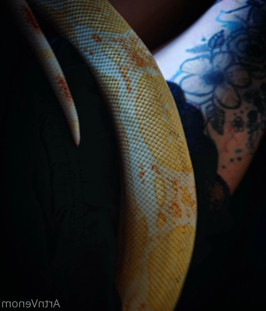 Art•Venom [ artnvenom ] Onlyfans leaked photo 6762704 on Hotleaks.tv