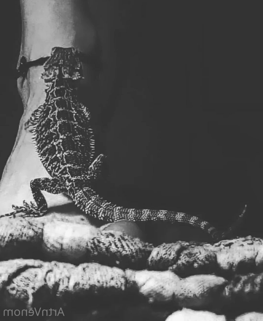 Art•Venom [ artnvenom ] Onlyfans leaked photo 6762710 on Hotleaks.tv