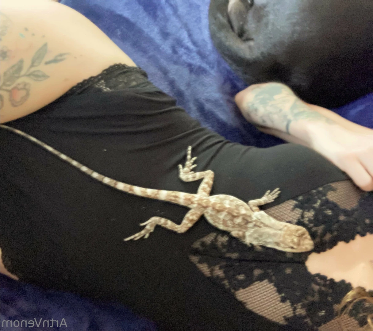 Art•Venom [ artnvenom ] Onlyfans leaked photo 11055491 on Hotleaks.tv