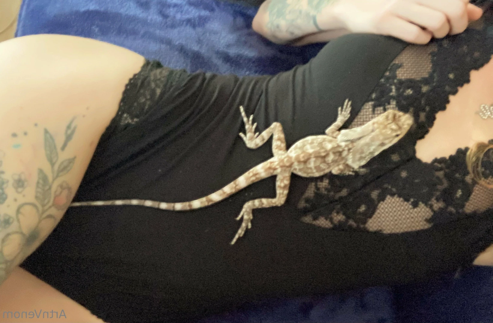 Art•Venom [ artnvenom ] Onlyfans leaked photo 11055493 on Hotleaks.tv