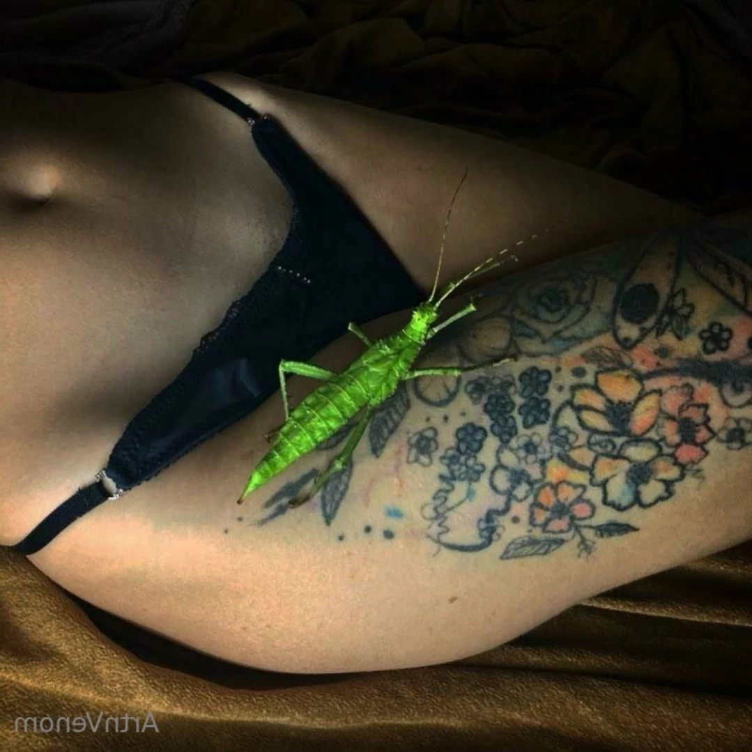 Art•Venom [ artnvenom ] Onlyfans leaked photo 12774179 on Hotleaks.tv