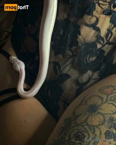 13320214