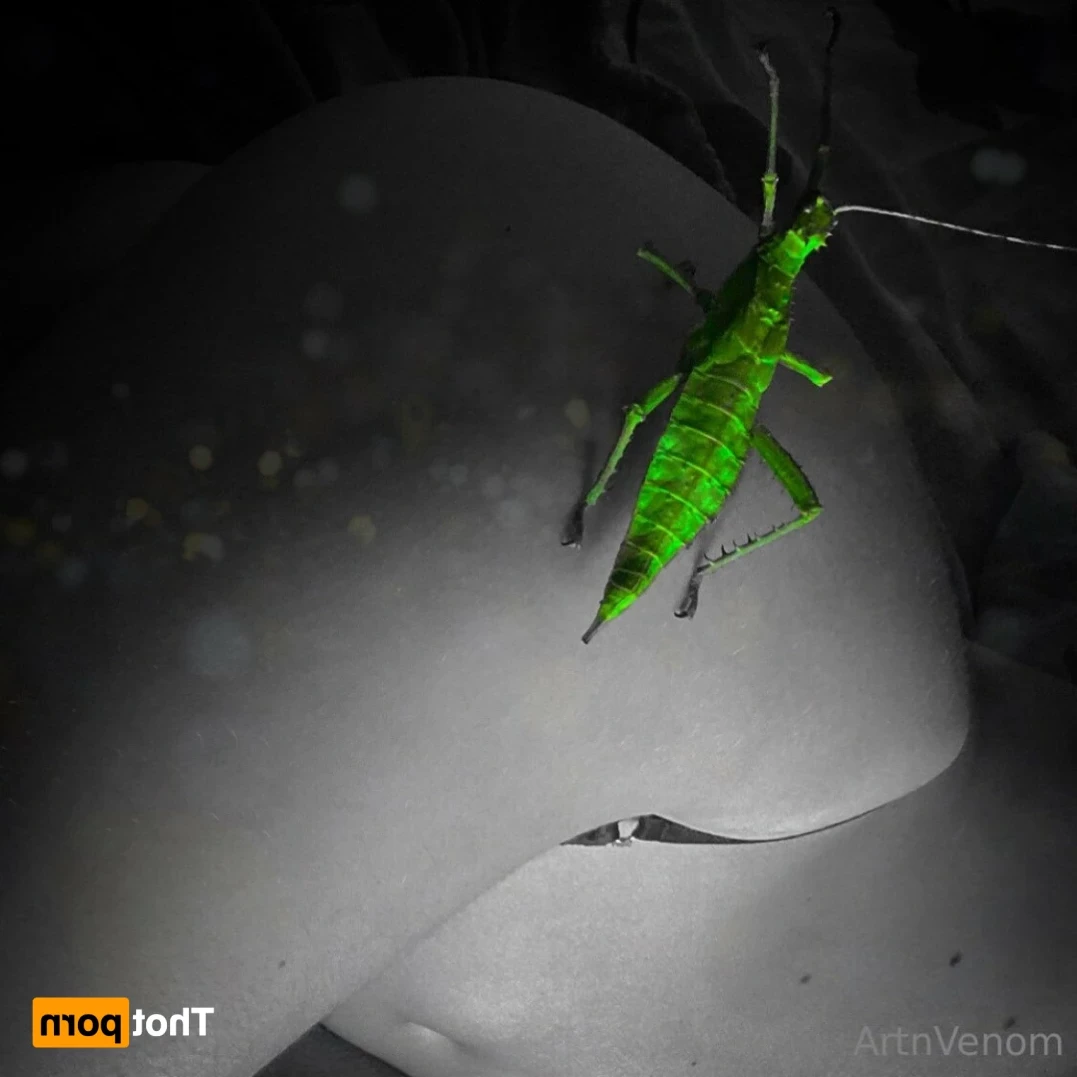Art•Venom [ artnvenom ] Onlyfans leaked photo 15387551 on Hotleaks.tv