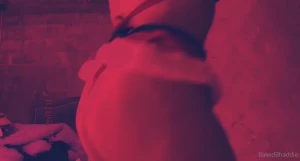 14585644