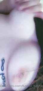 8593151