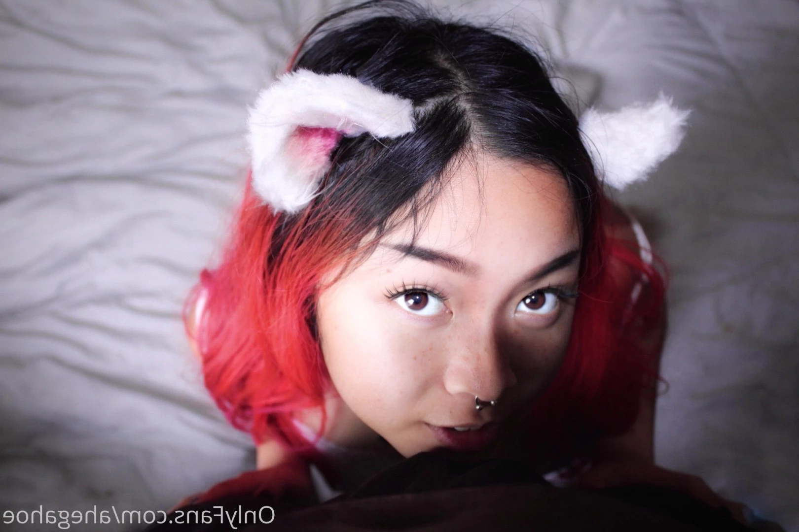 ♡ 𝖗𝖊𝖊𝖘𝖊 ♡ [ barbwirebaby ] Onlyfans leaked photo 6448642 on Hotleaks.tv