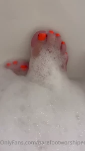 10838629
