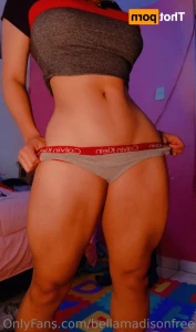 16136591