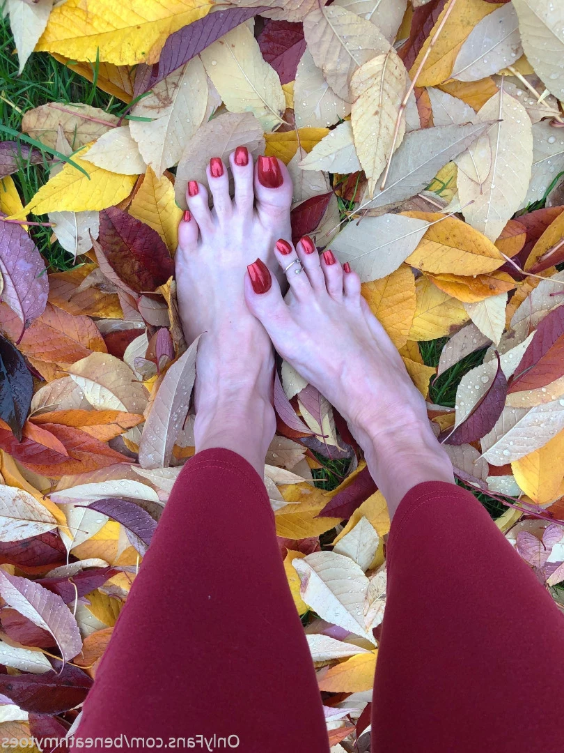 beneathmytoes Onlyfans leaked photo 7436316 on Hotleaks.tv
