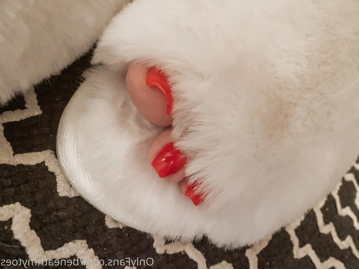 beneathmytoes Onlyfans leaked photo 7485876 on Hotleaks.tv