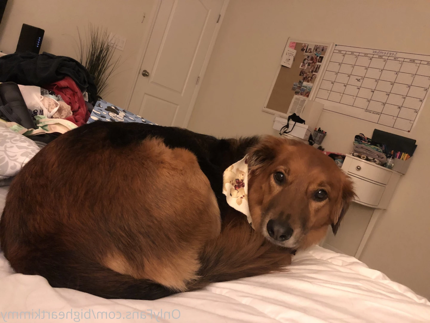 scalawag [ bigheartkimmy ] Onlyfans leaked photo 7618131 on Hotleaks.tv