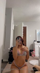 15604270
