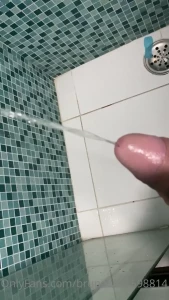 7750737