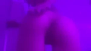 10746195