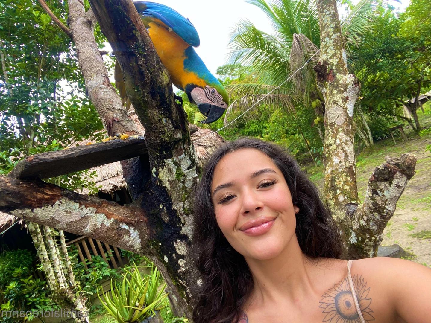 camilalorenanm Onlyfans leaked photo 7633559 on Hotleaks.tv
