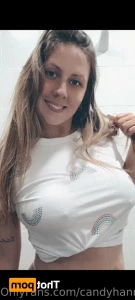 16063691