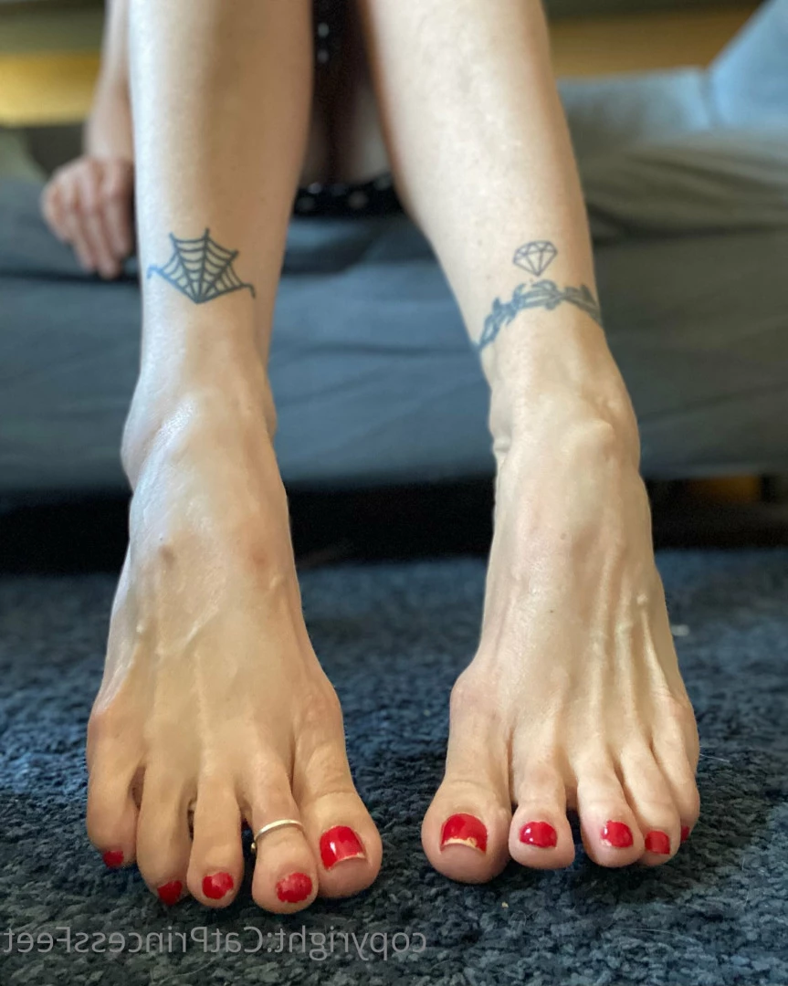 CatPrincess [ catprincessfeet ] Onlyfans leaked photo 7582120 on Hotleaks.tv