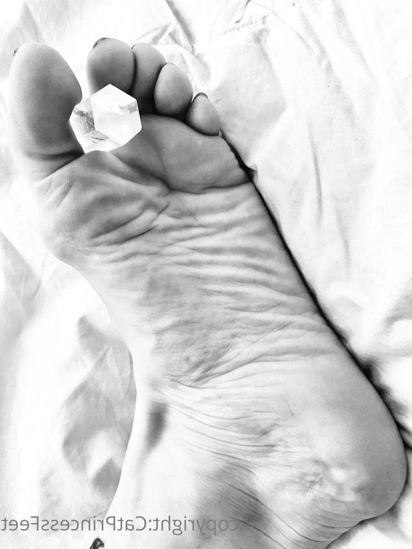 CatPrincess [ catprincessfeet ] Onlyfans leaked photo 7582282 on Hotleaks.tv