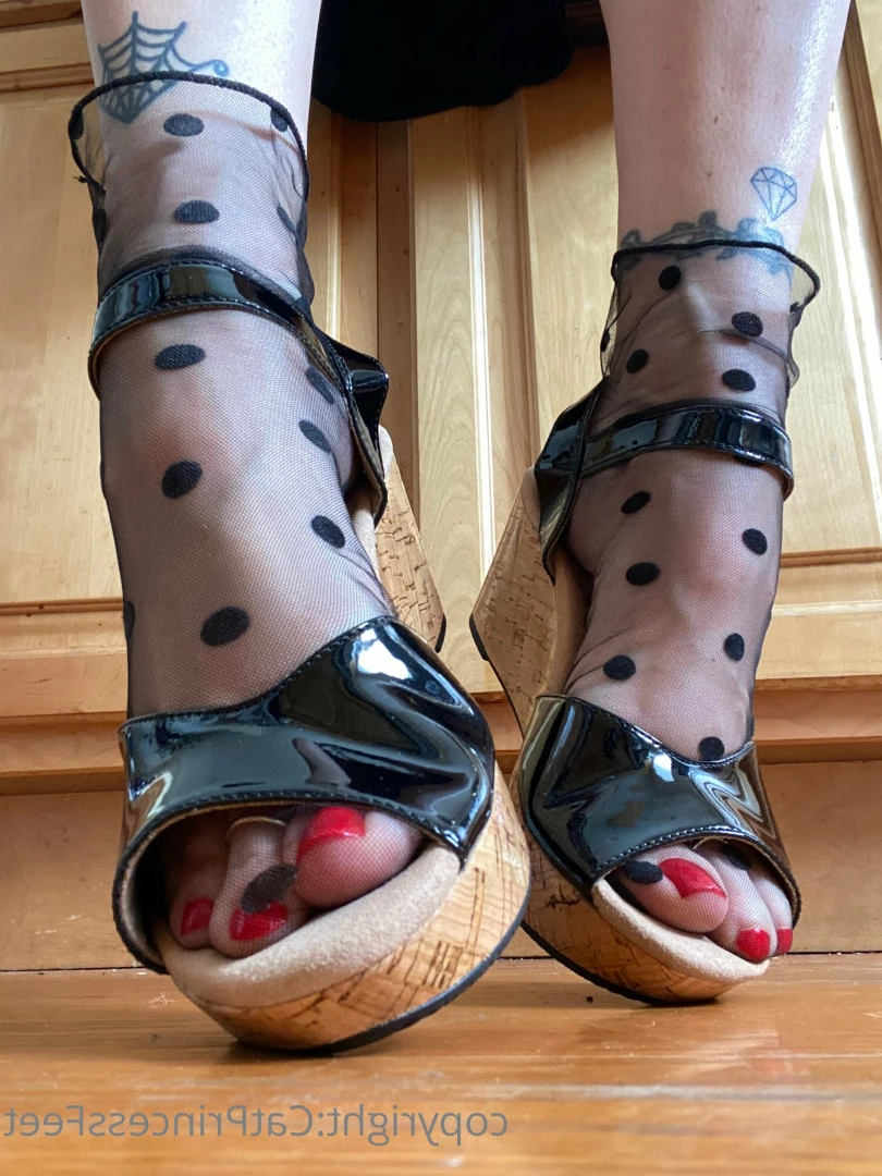 CatPrincess [ catprincessfeet ] Onlyfans leaked photo 7583029 on Hotleaks.tv