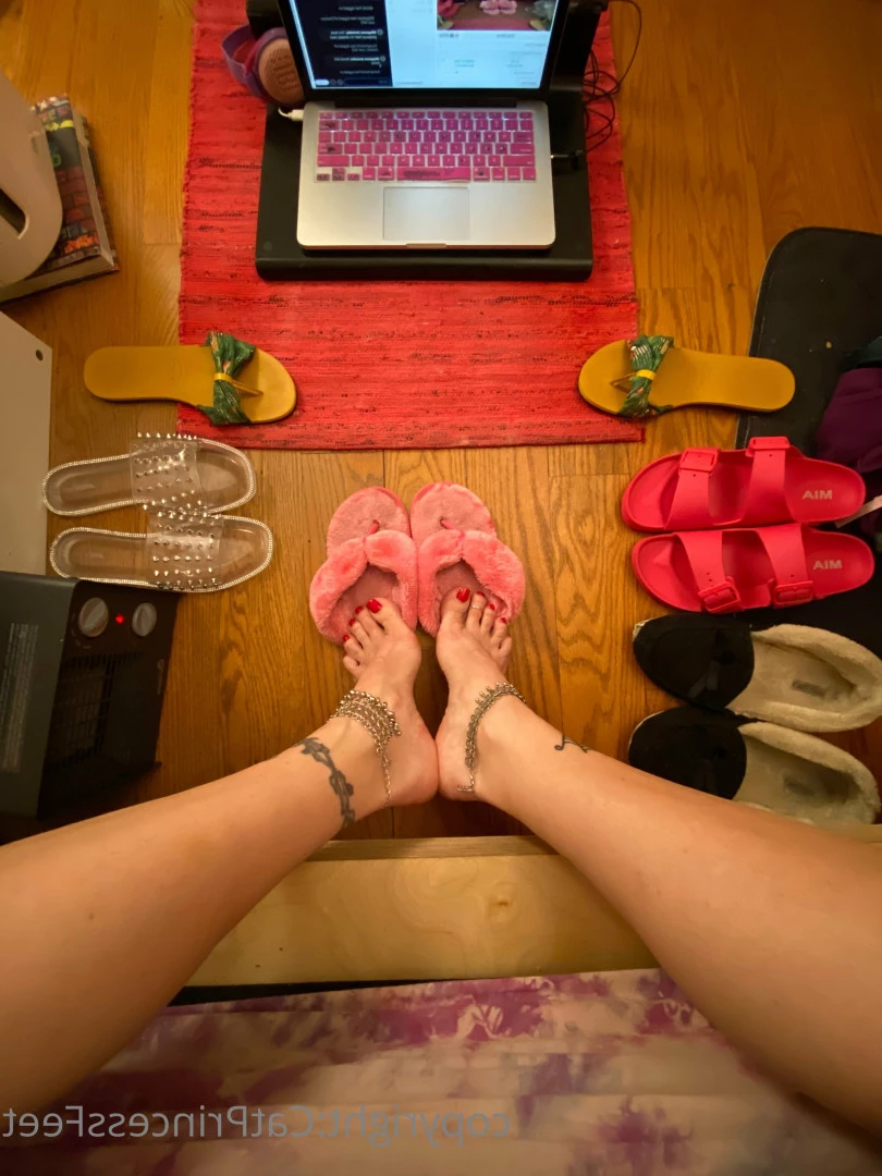 CatPrincess [ catprincessfeet ] Onlyfans leaked photo 7583062 on Hotleaks.tv
