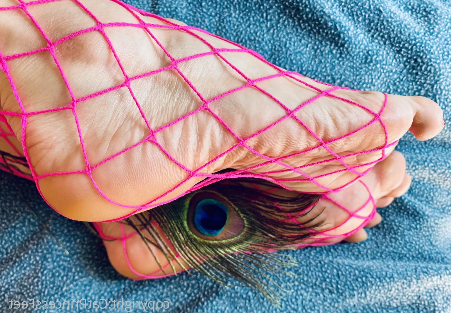CatPrincess [ catprincessfeet ] Onlyfans leaked photo 7583678 on Hotleaks.tv