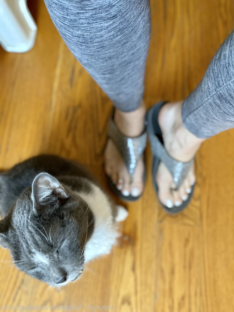 CatPrincess [ catprincessfeet ] Onlyfans leaked photo 7583932 on Hotleaks.tv