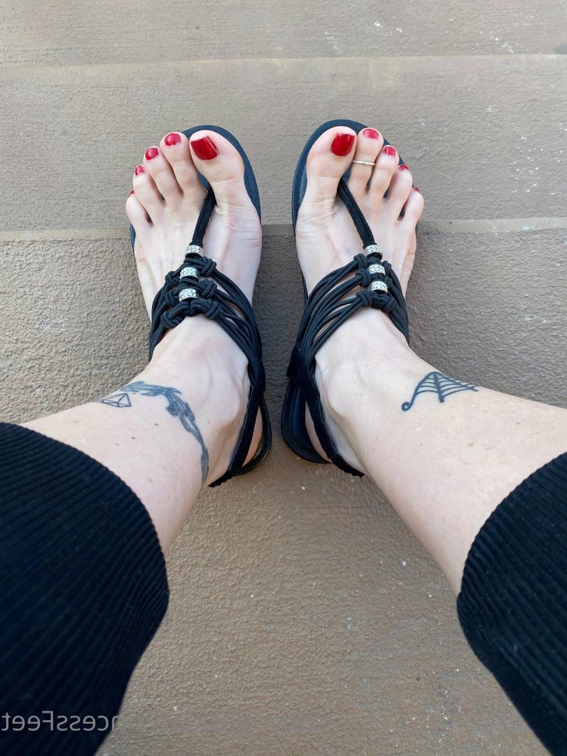 CatPrincess [ catprincessfeet ] Onlyfans leaked photo 7584761 on Hotleaks.tv