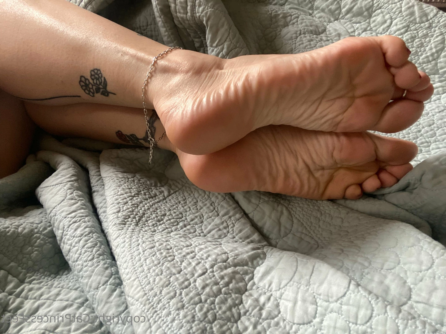 CatPrincess [ catprincessfeet ] Onlyfans leaked photo 7585256 on Hotleaks.tv