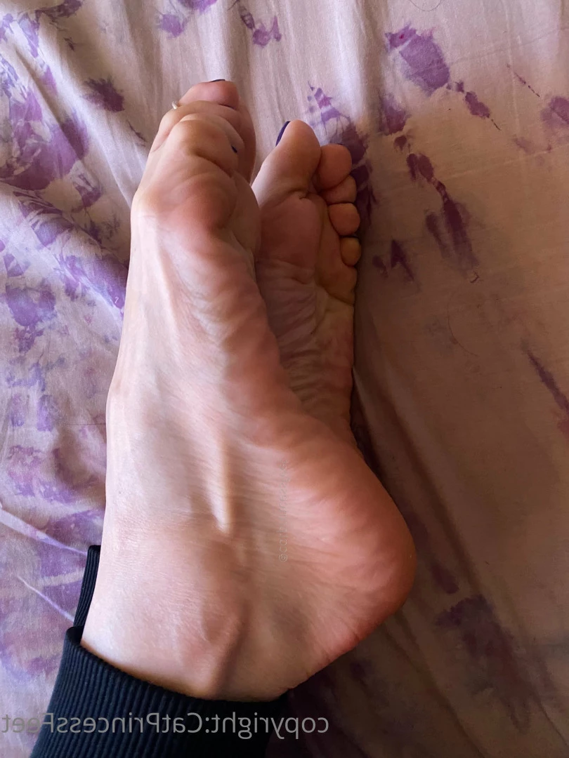 CatPrincess [ catprincessfeet ] Onlyfans leaked photo 7585432 on Hotleaks.tv