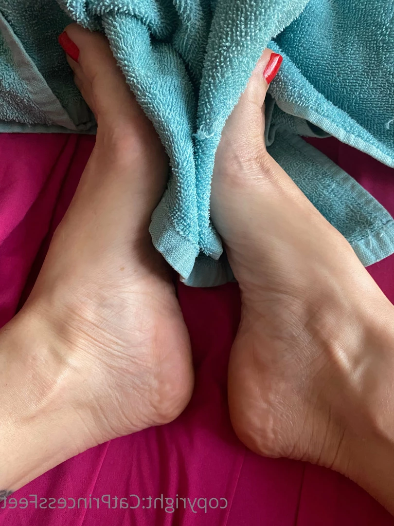 CatPrincess [ catprincessfeet ] Onlyfans leaked photo 7585498 on Hotleaks.tv