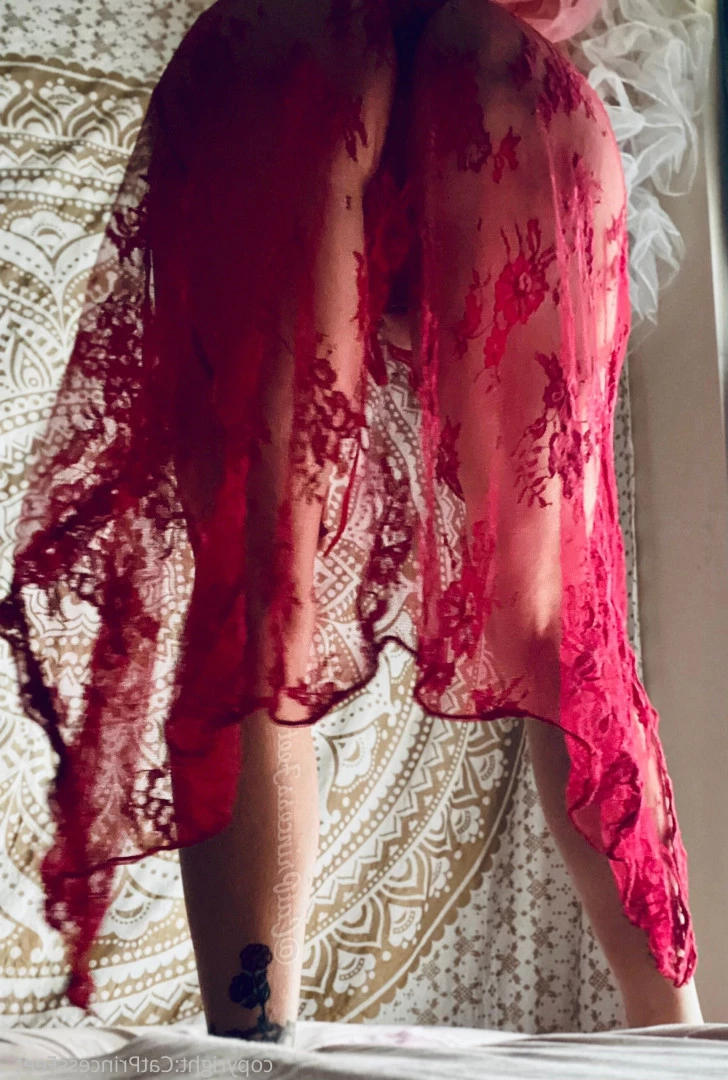 CatPrincess [ catprincessfeet ] Onlyfans leaked photo 7586014 on Hotleaks.tv