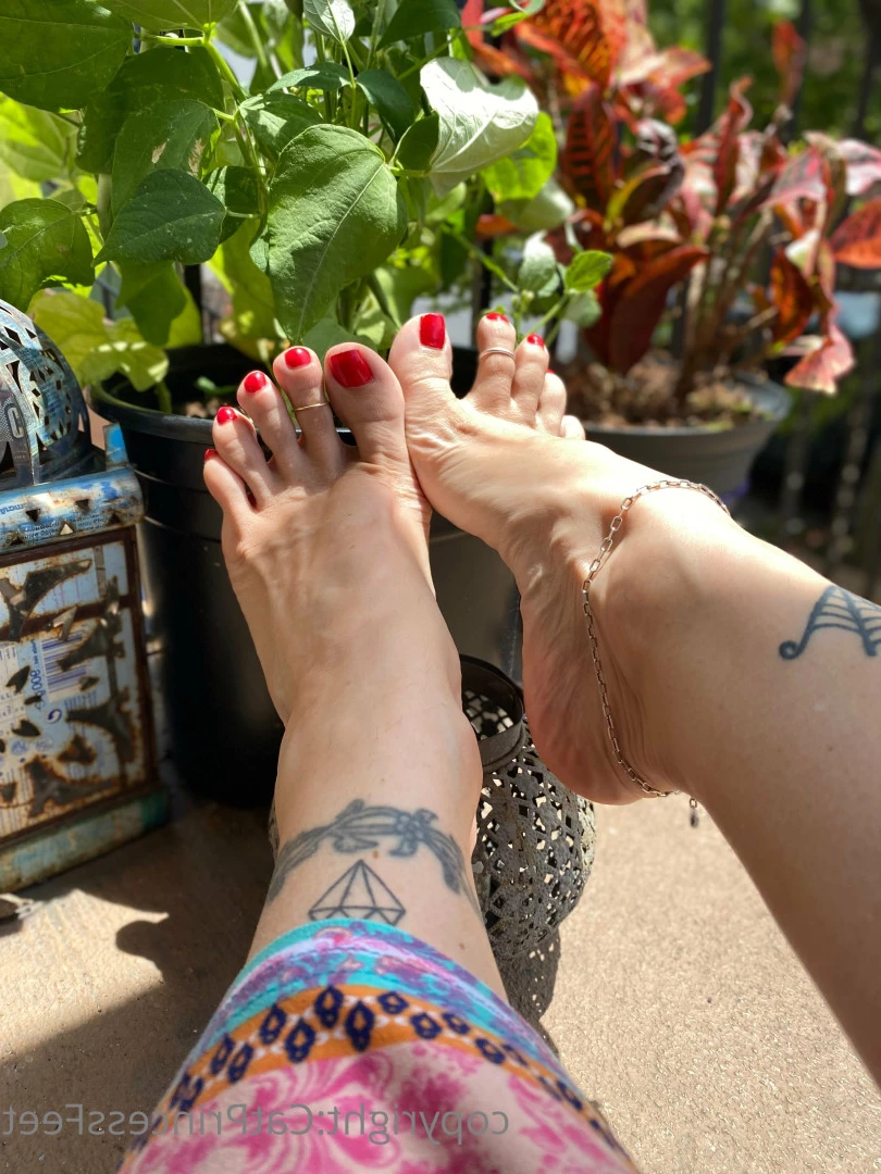 CatPrincess [ catprincessfeet ] Onlyfans leaked photo 7587007 on Hotleaks.tv