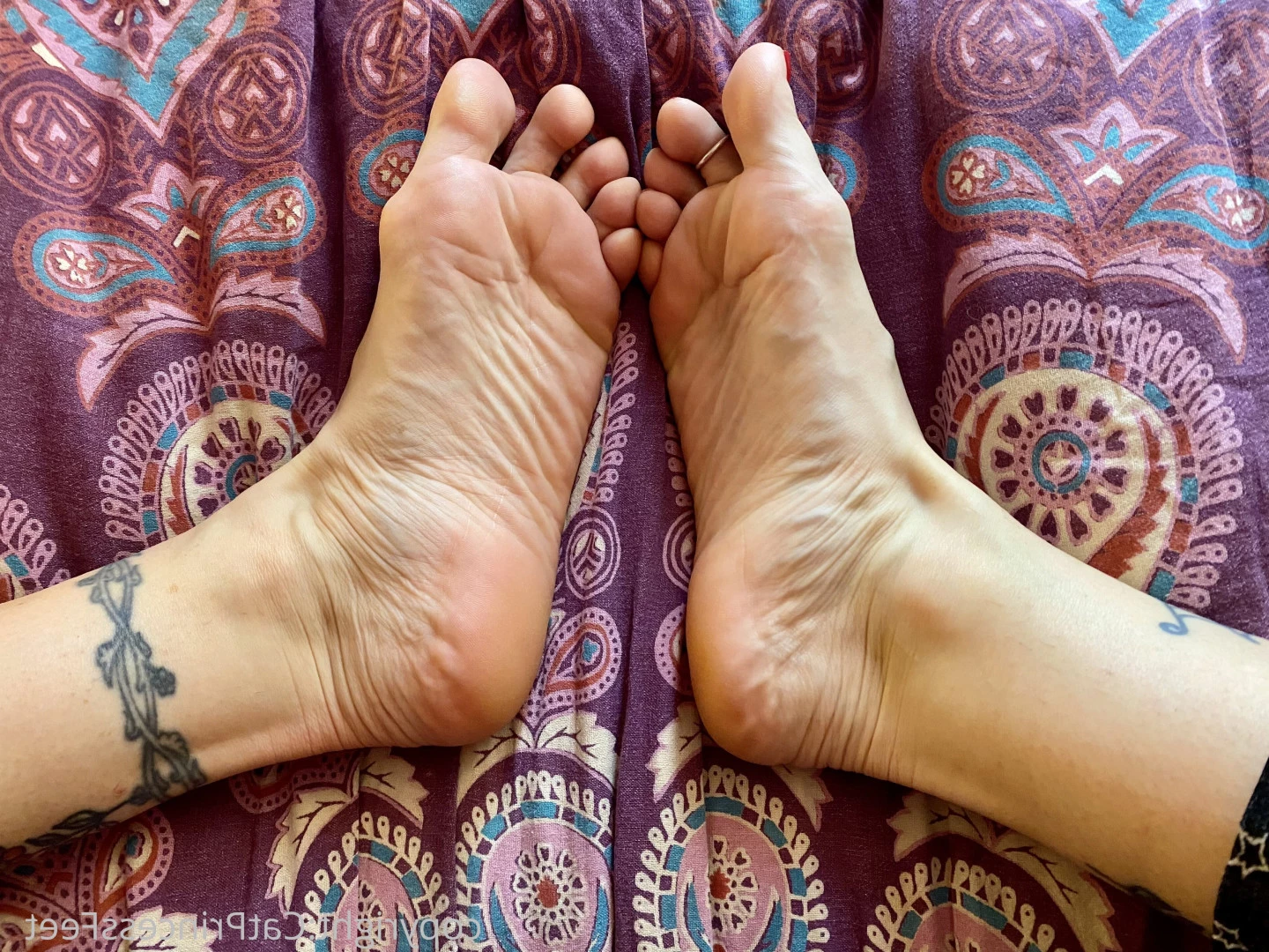 CatPrincess [ catprincessfeet ] Onlyfans leaked photo 7587131 on Hotleaks.tv